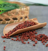 麒麟籽中越缅野生正品 煮水泡酒阿松现收精品 五籽精挑好货泡水