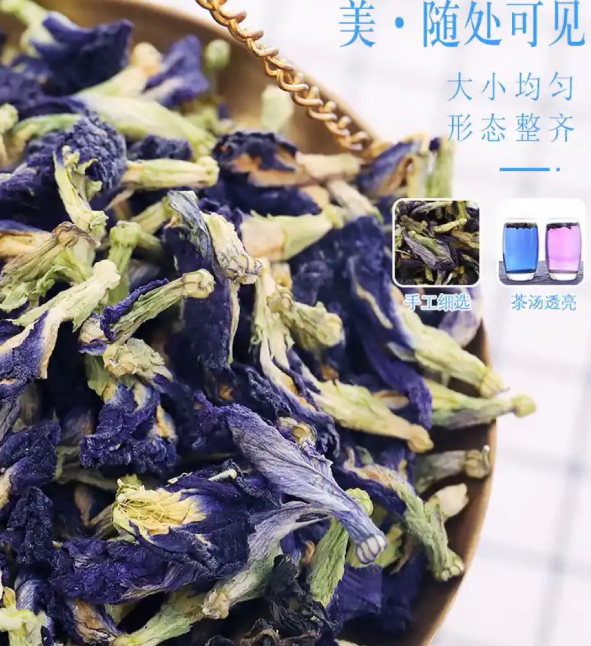 云南梅里雪山野采高山特级本草 青霄莲 中缅边境野生蓝蝴蝶蓝色茶
