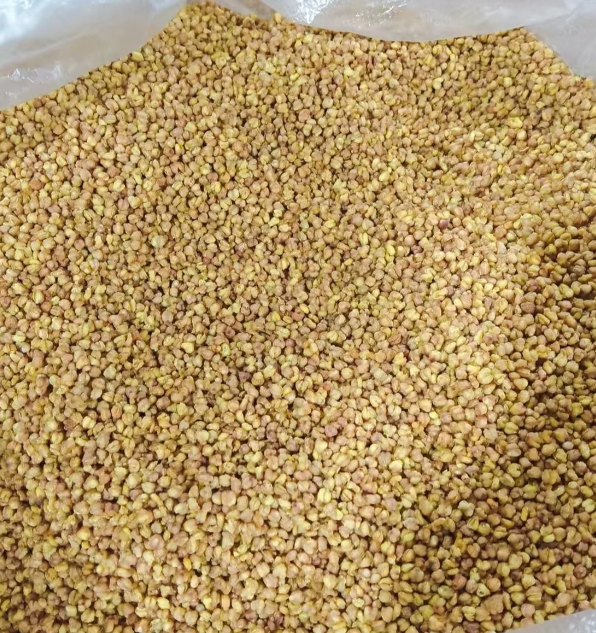 虫草菌子-草木黄- 煮水煲汤精品包邮发货中越缅边境阿松现收山货
