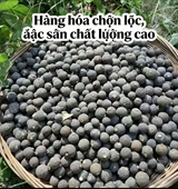 越南小柑胎 泡水养生滋补中越边境现收天然小柑胎果 越南野生正品