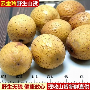 云金玲  野生正品无硫熏无添加中缅边境云南阿松现收云南山货