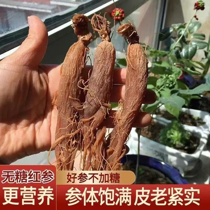 云南野生龙须红参中缅边境阿松现收可切片泡水煮水煲汤滋补佳品