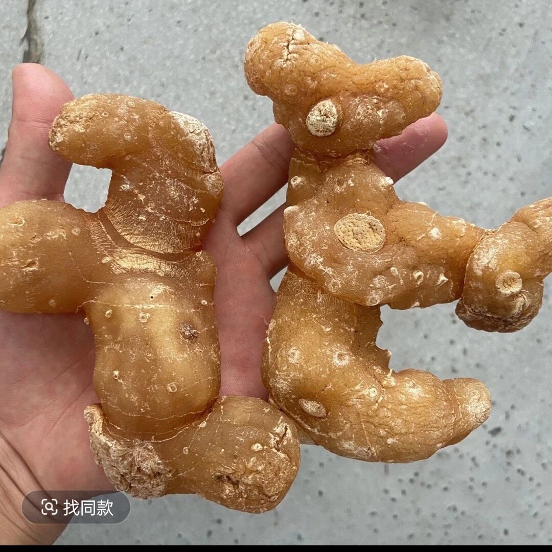 生黄精野生正品无硫熏无添加中缅边境云南阿松现收云南山货