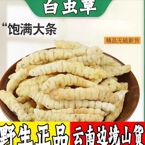 野生白虫草参250g克土冬虫草云南野生白虫草参阿松现收包邮