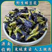 野蓝蝶 野生云南中缅边境高山高海拔农家现收野生蓝蓝色妖姬参