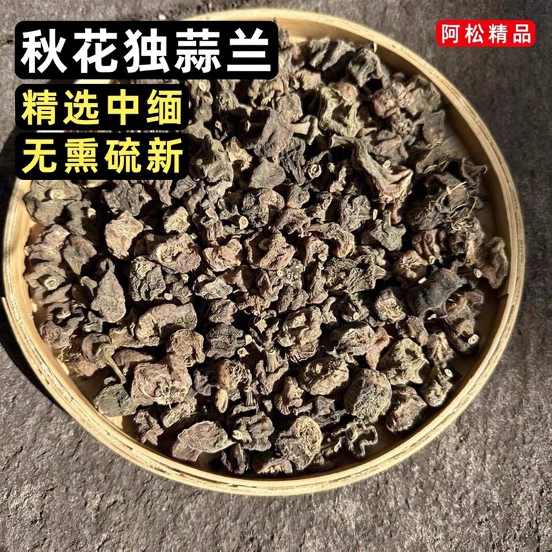 秋花独蒜 兰冰球子正品无熏硫新货中缅边境云南阿松精选精品包邮