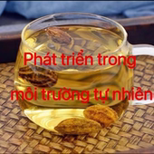 越南黄金果 中越边境阿松精选越南野生现收山货养生甄选优品发货