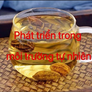 越南黄金果 中越边境阿松精选越南野生现收山货养生甄选优品发货