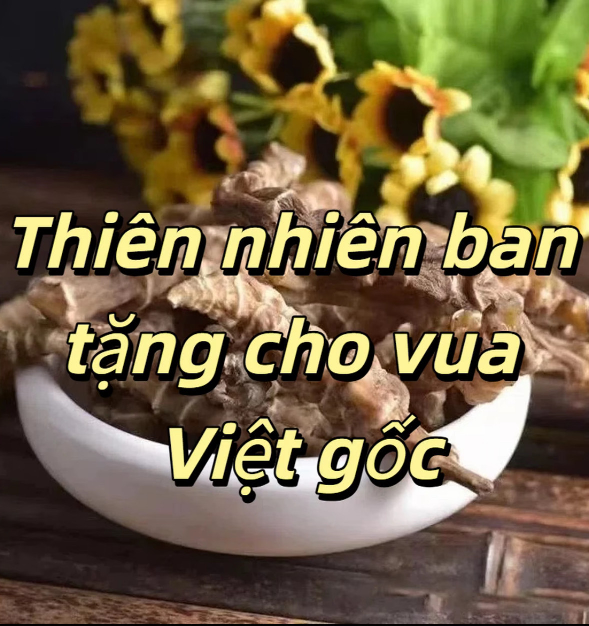 虫草参 越南野生干货中越缅边境阿松精选发货正品泡酒煲汤煮水