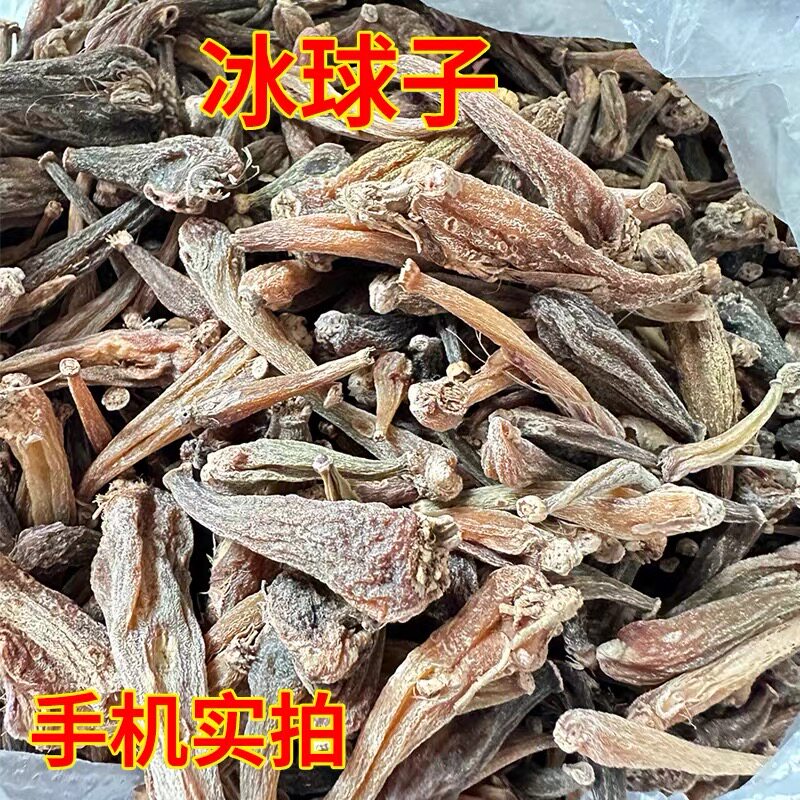 紫金冰球子 现收山货正品新货无硫泡水煮水滋补养生阿松现收