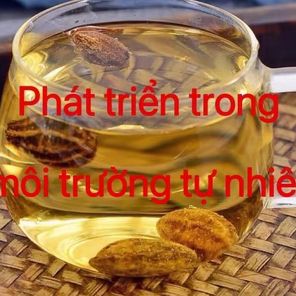 越南黄金果 中越边境阿松现野生正品收山货养生甄选优品煮水泡水