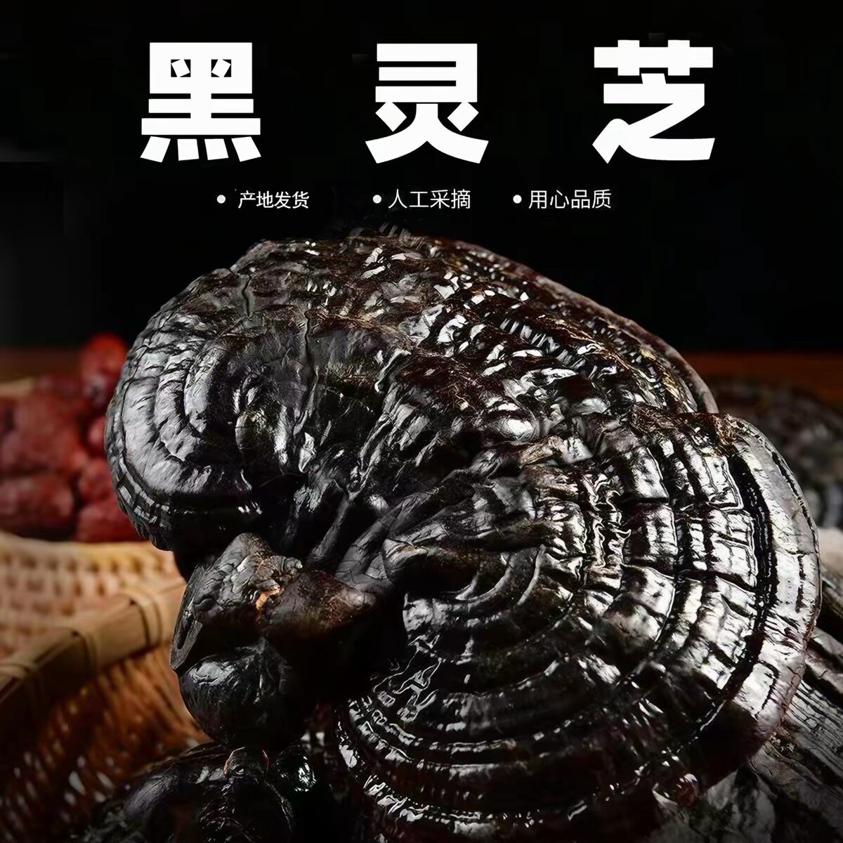 云南天然黑灵芝不苦整枝灵芝切片带腿林芝干货煲汤泡酒阿松现收