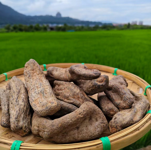 黑天麻 精选特级天麻正品中缅边境阿松现收云南山货滋补养生