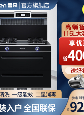 pusen普森M5 双蒸箱 烤箱一体 高温蒸烤嵌入式家用一体机智能新款