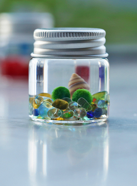 marimo海藻球生态瓶微景观创意迷你绿植桌面办公室宠物小礼物摆件