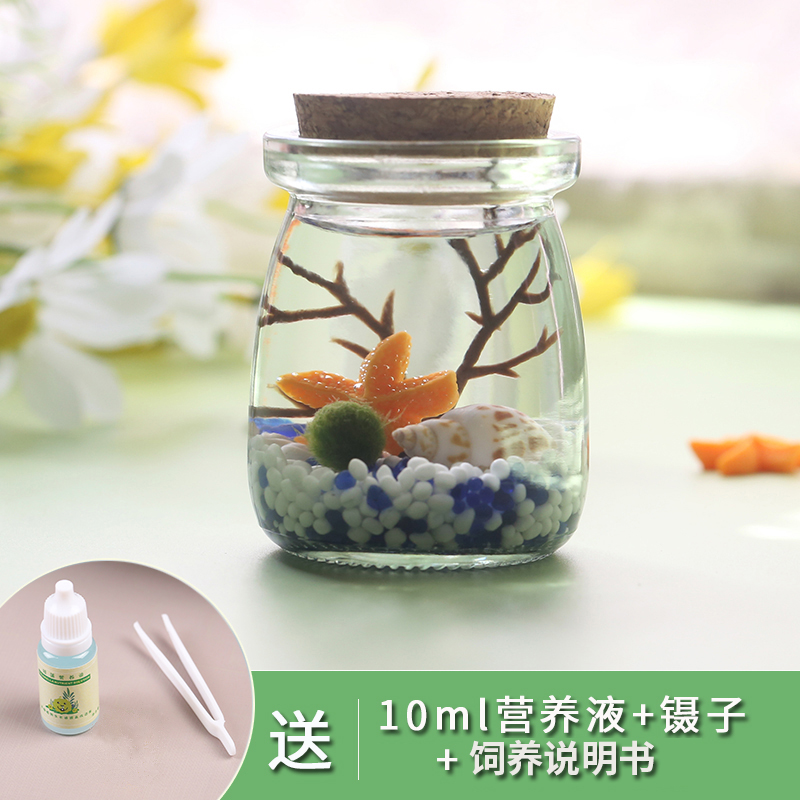 marimo海藻球生态瓶微景观diy造景水养植物盆栽水培礼物迷你摆件 鲜花速递/花卉仿真/绿植园艺 海藻球 原图主图