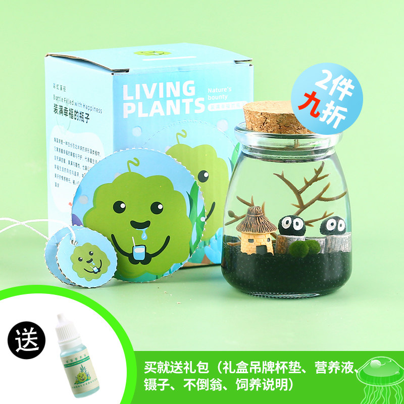 马里莫海藻球微景观小摆件桌面宠物迷你创意植物礼盒装玻璃生态瓶