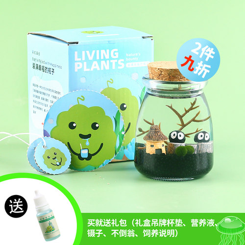 马里莫海藻球微景观小摆件