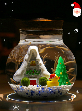 南枝集圣诞节日礼品生态瓶小摆件
