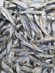 野生麻鲢小白漂鱼干 500克一斤 黑龙江兴凯湖特产 一条10厘米左右