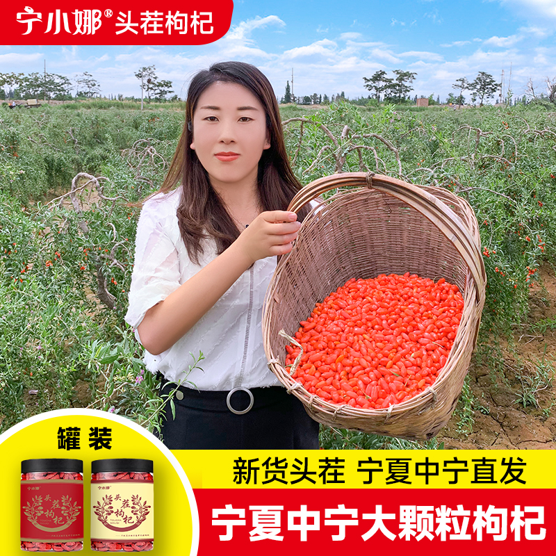 正宗宁夏枸杞子纯特优级免洗大粒天然中宁红构苟杞500g茶男肾包邮