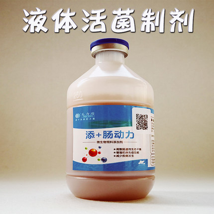 益生菌兽用液体活菌 小猪犊牛羔羊改善肠道 美力盾肠动力500ml