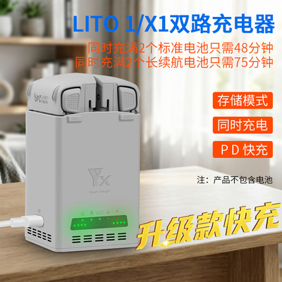 NGKJ/耐果大疆LITO1/X1充电器