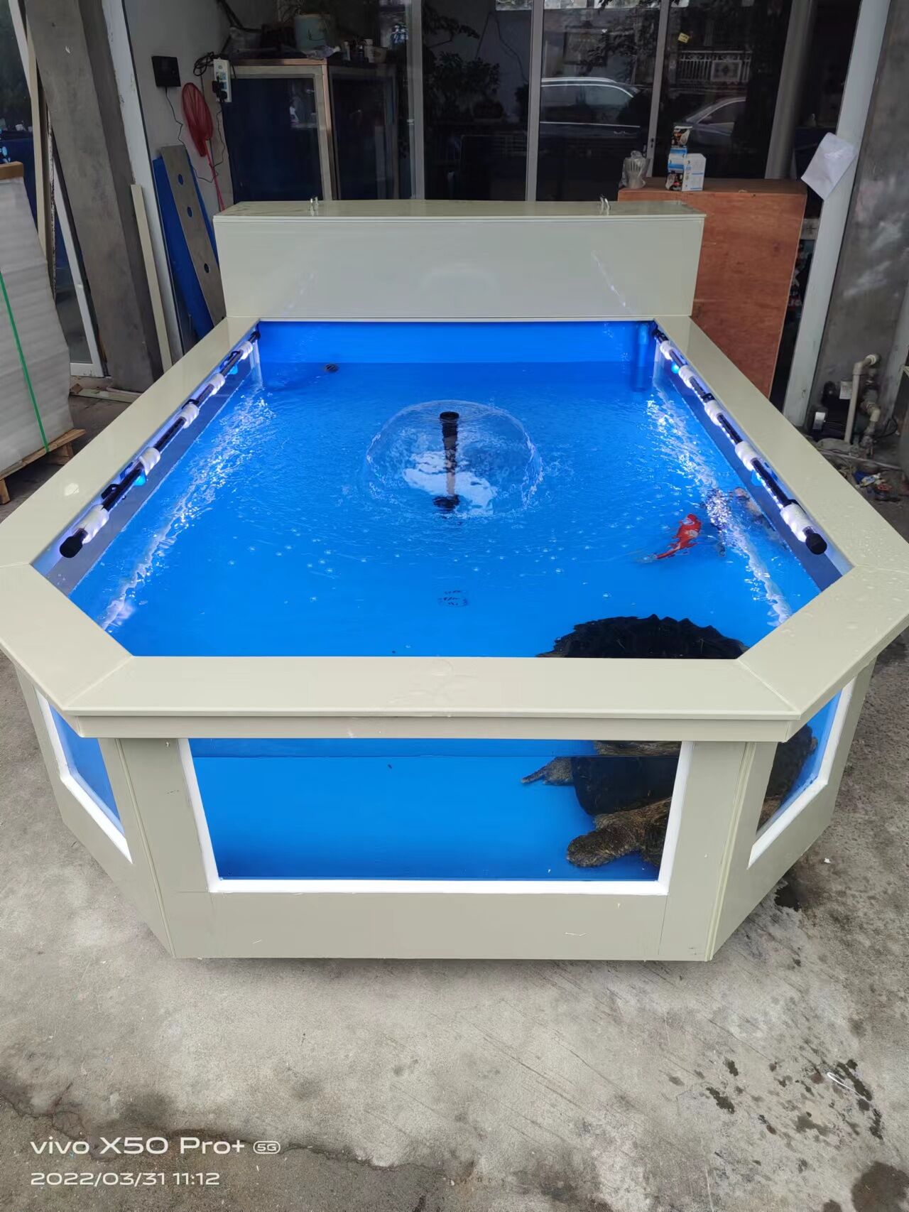 奶鱼缸地缸锦鲤鱼缸商场投喂鱼小孩喂鱼奶鱼缸