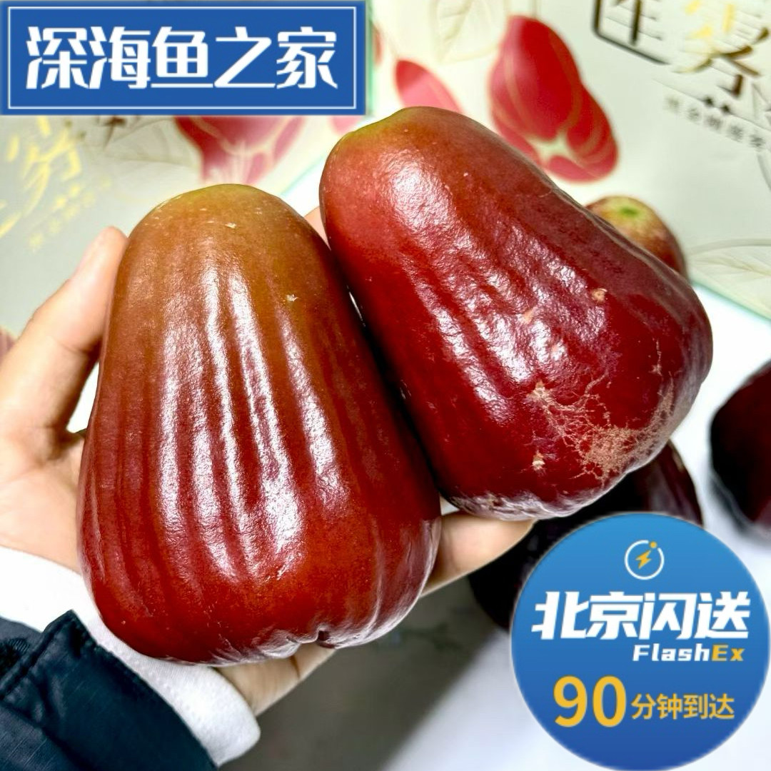 北京闪送 莲雾姐·黑糖芭比莲雾 2.5斤水果礼盒,水产肉类/新鲜蔬果/熟食,其它,淘宝优惠券,粉丝福利购,淘宝优惠卷