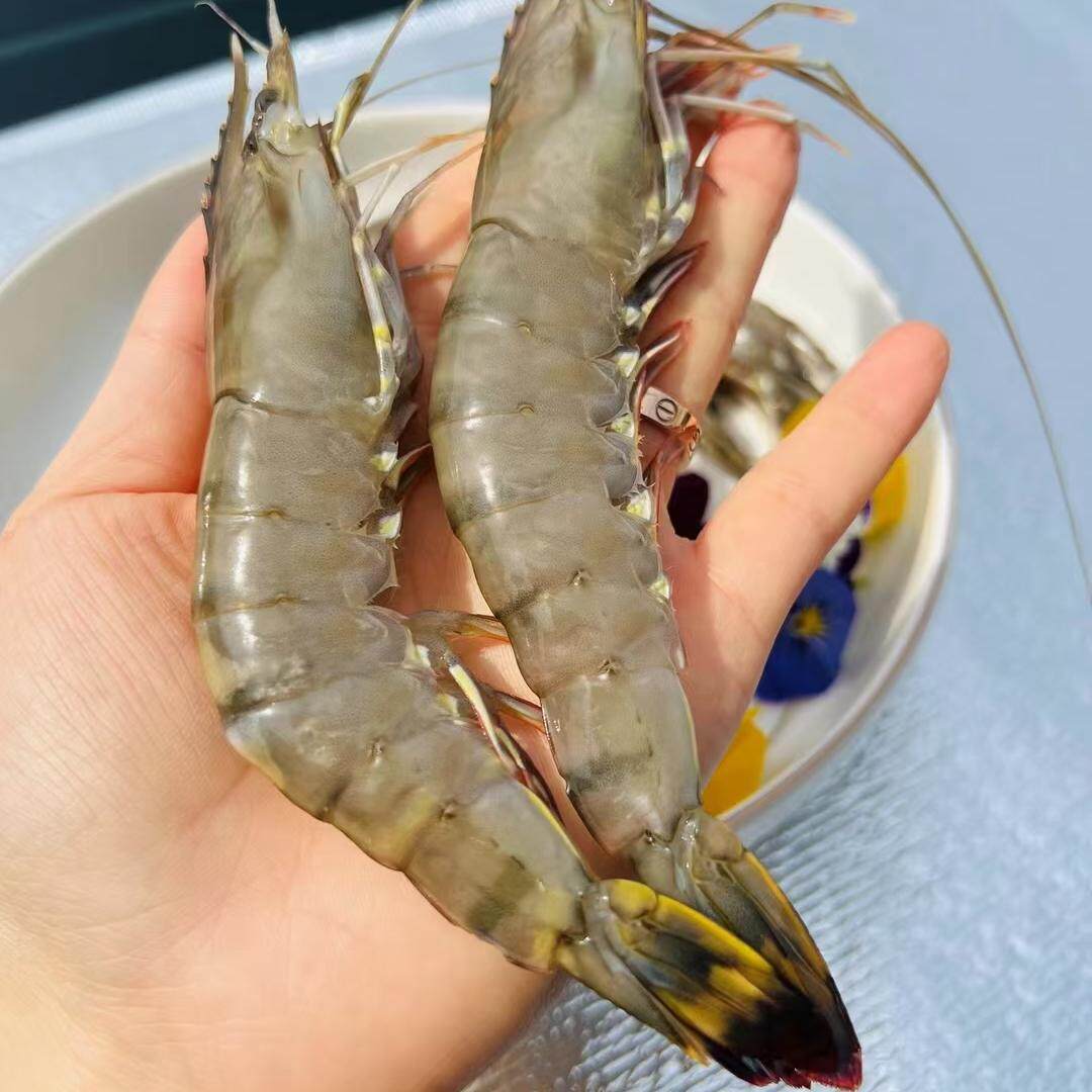 2kg/盒 北京闪送马达加斯加海虎虾 进口冷冻海鲜水产 大虎虾