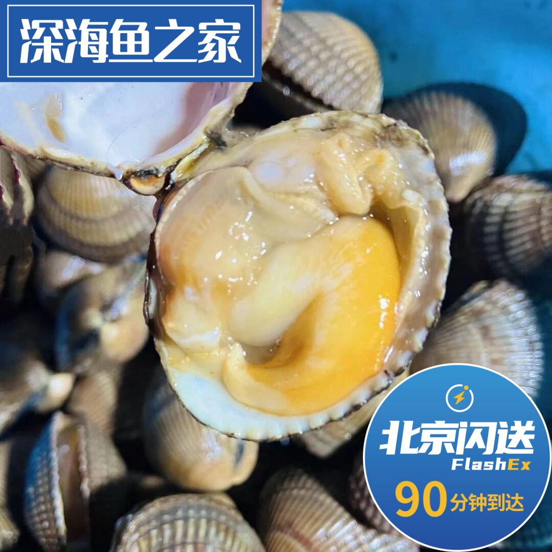 北京闪送 500g 鲜活石垣贝鸟贝 蛤蜊鸟蛤 白玉翠贝金钩鸟贝