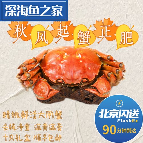 北京闪送  10只装鲜活大闸蟹 公母混装河蟹 螃蟹  礼盒顺丰包邮