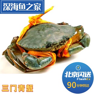北京闪送 5-9两三门青蟹 蝤蠓红鱘大红膏蟹鲜活母蟹 满黄满肉螃蟹