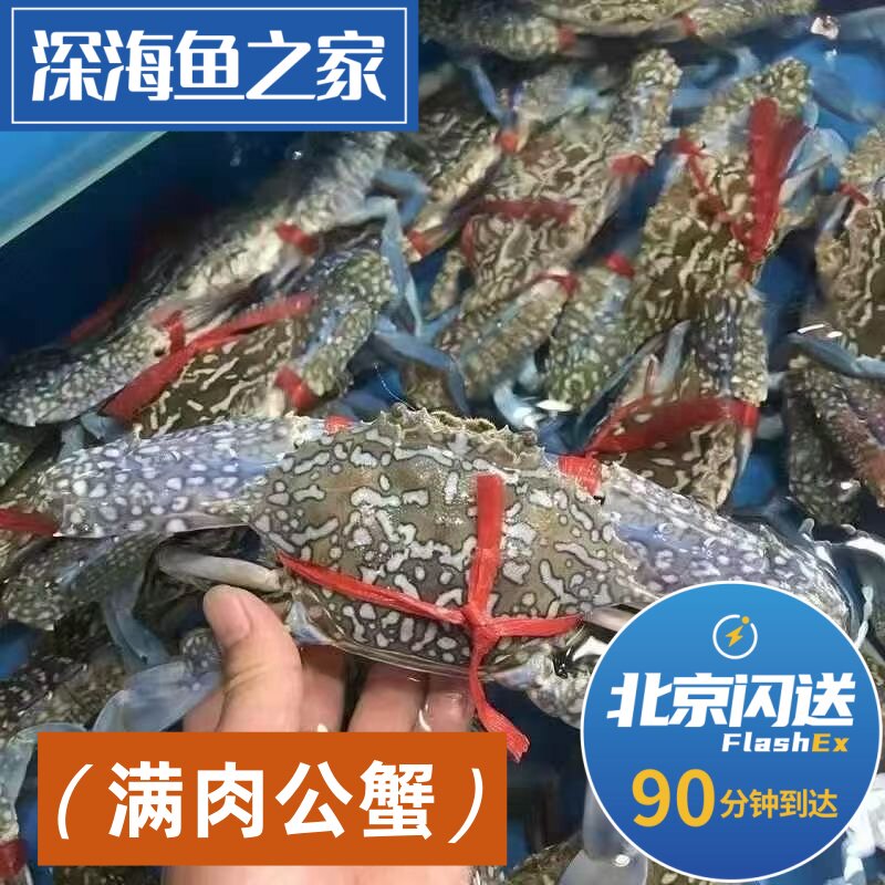 北京闪送 4-6两一只 海南活鲜 蓝花蟹 兰花蟹 梭子蟹 海南飞蟹 - 实物图