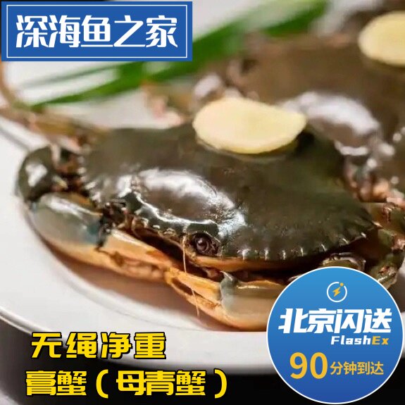 北京闪送 3两-1斤1只母膏蟹 青蟹鲜活海蟹海鲜肉蟹煲虾蟹粥香辣蟹