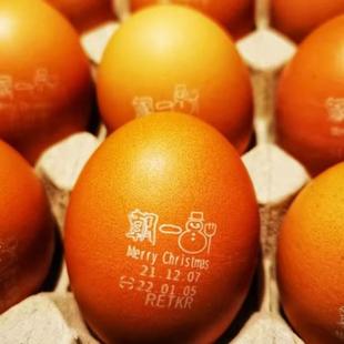 北京闪送 90只 5kg 朝一无菌鸡蛋 可生食 温泉蛋 寿喜烧