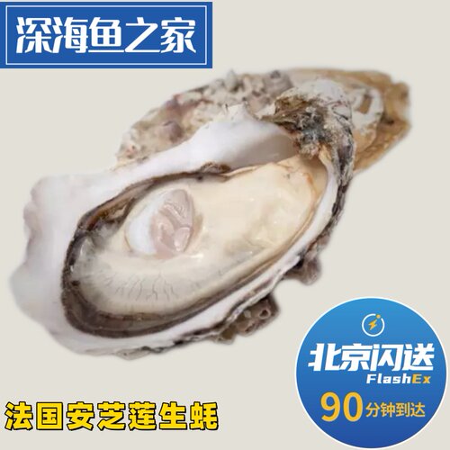 北京闪送 法国安芝莲生蚝 进口空运鲜活刺身生蚝 3只起拍