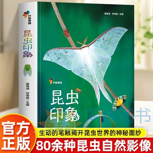 昆虫印象行色自然多样昆虫形态与生活场景画面细腻捕捉昆虫细节色彩贴合自然本真直观感受昆虫的独特魅力沉浸式的自然观察体验