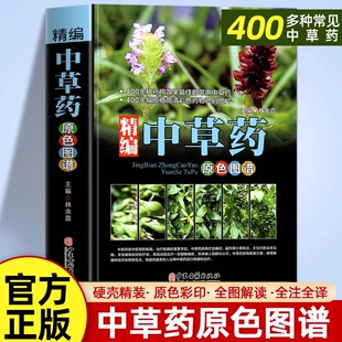 精编中草药原色图谱正版中国药典中草药全图鉴中国药材 中医书籍大全中药材医药 300余种常用中草药识别中医书 中医养生书籍电子版