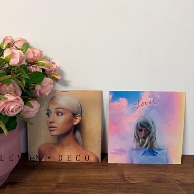 仿真黑胶唱片氛围感装饰摆件售楼处样板间家居酒店墙壁拍照道具