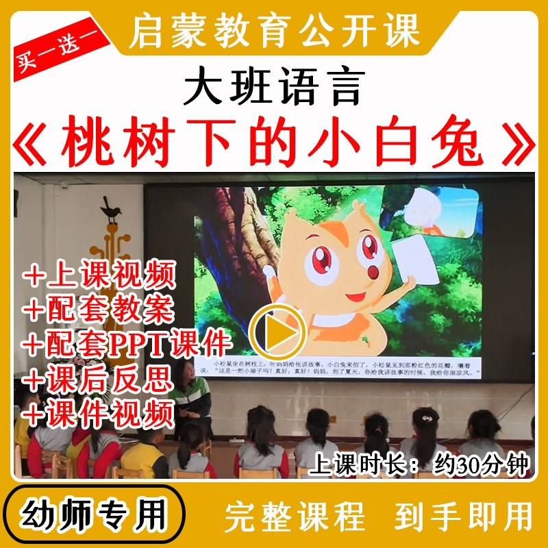 幼儿园优质公开课大班语言《桃树下的小白兔》视频教案课件ppt