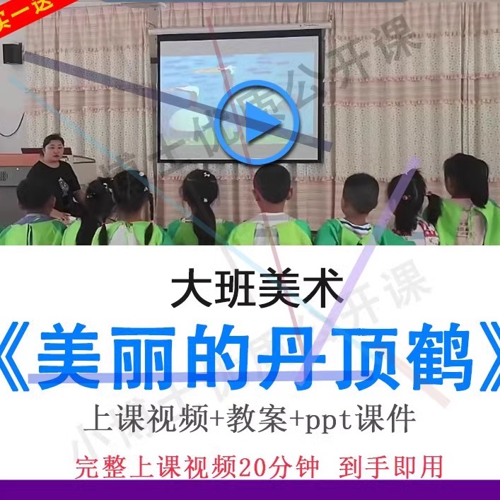 幼儿园优质课大班美术《美丽的丹顶鹤》教案视频ppt课件公开课.