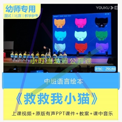2021新课幼儿园优质课公开课中班语言绘本救救我小猫教案课件ppt3