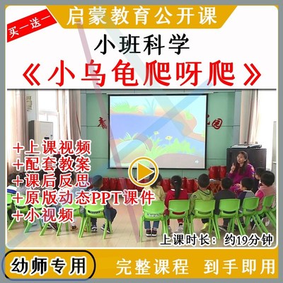 幼儿园幼师教研小班科学活动小乌龟爬呀爬优质公开课教案课件ppt