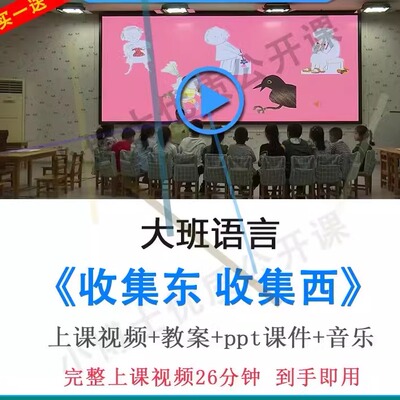 幼儿园优质课大班语言绘本《收集东收集西》视频教案ppt公开课.