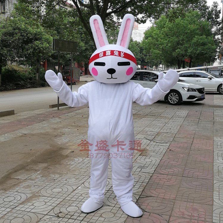 布朗熊卡通人偶服装惊喜兔人穿行走动漫玩偶宣传表演毛绒道具服装