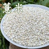 2025年新宁化薏米仁 无霉味福建新薏仁米500g杂粮小薏米 新鲜脱壳