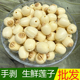2025年速冻莲子去芯 带芯莲子现摘手工去皮广昌通芯白莲 未烘干