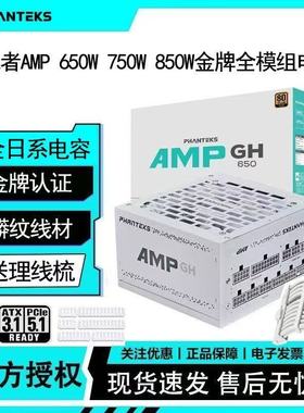 追风者AMP GH/BH 650W750W850W1000W1200W金牌全模组电源日系电容