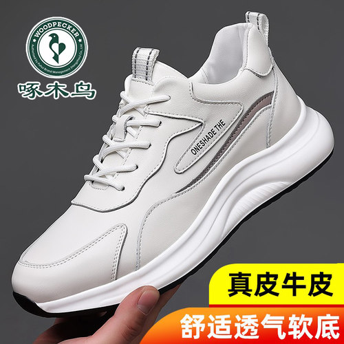 运动鞋男啄木鸟休闲秋冬